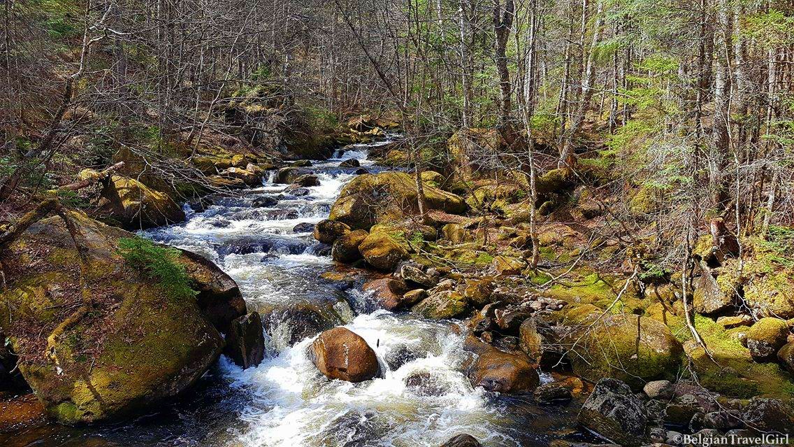 18675136_10212840115936146_285609884_o