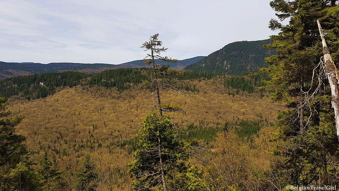 18698767_10212840116936171_265752170_o