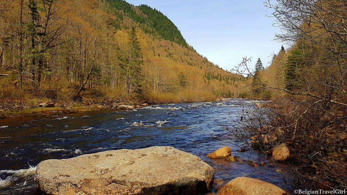 18721307_10212840118456209_253122799_o