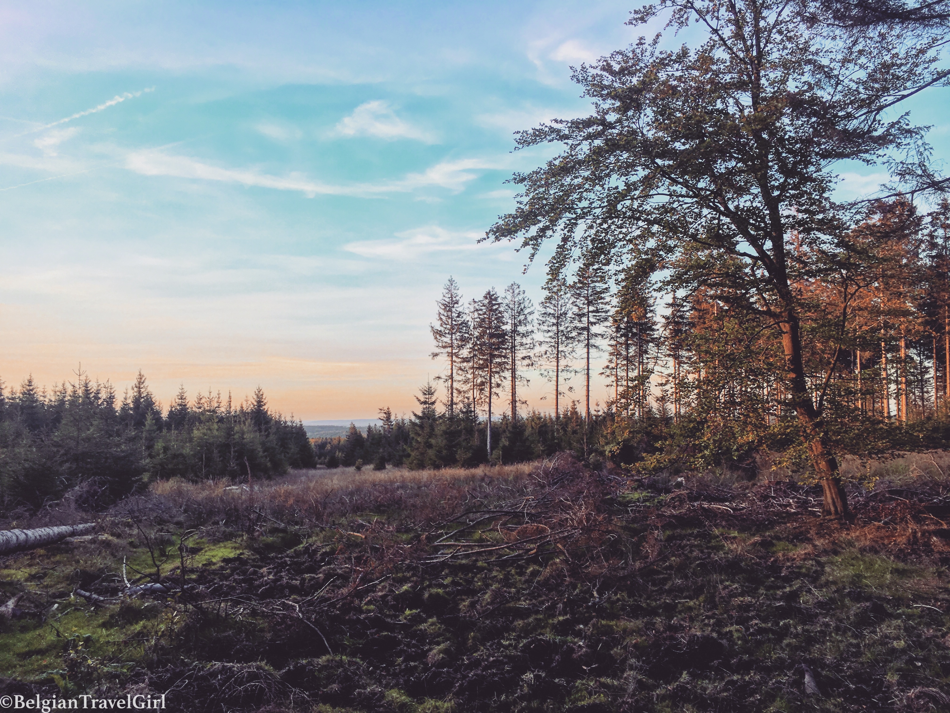 Photo 29-09-18 18 56 40