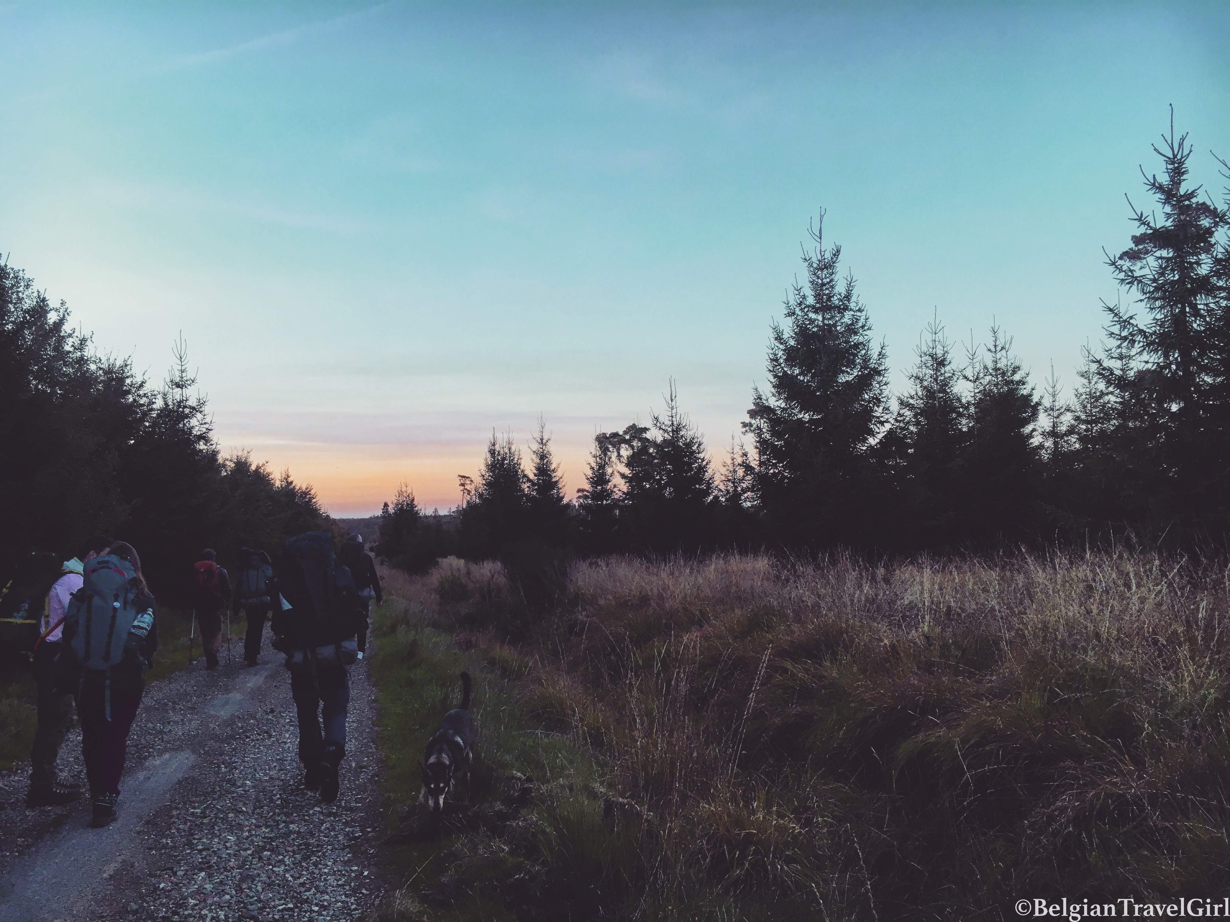 Photo 29-09-18 19 17 06