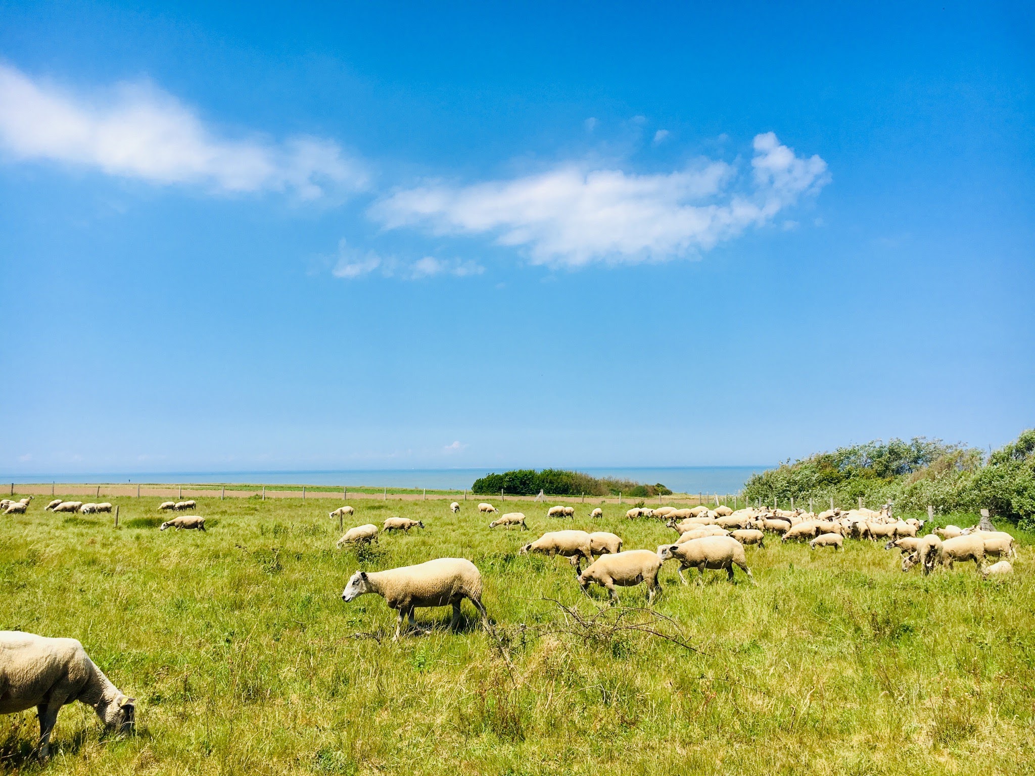 24cd6f2a-c328-4cb5-9ed8-6506bef027fd