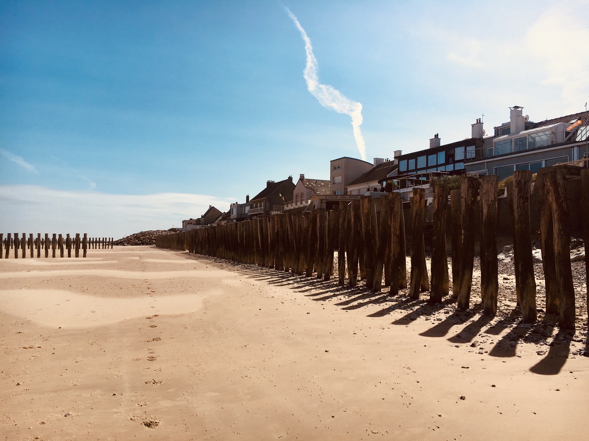 6245a491-7a2e-4ab6-a620-aafe2d4672d6