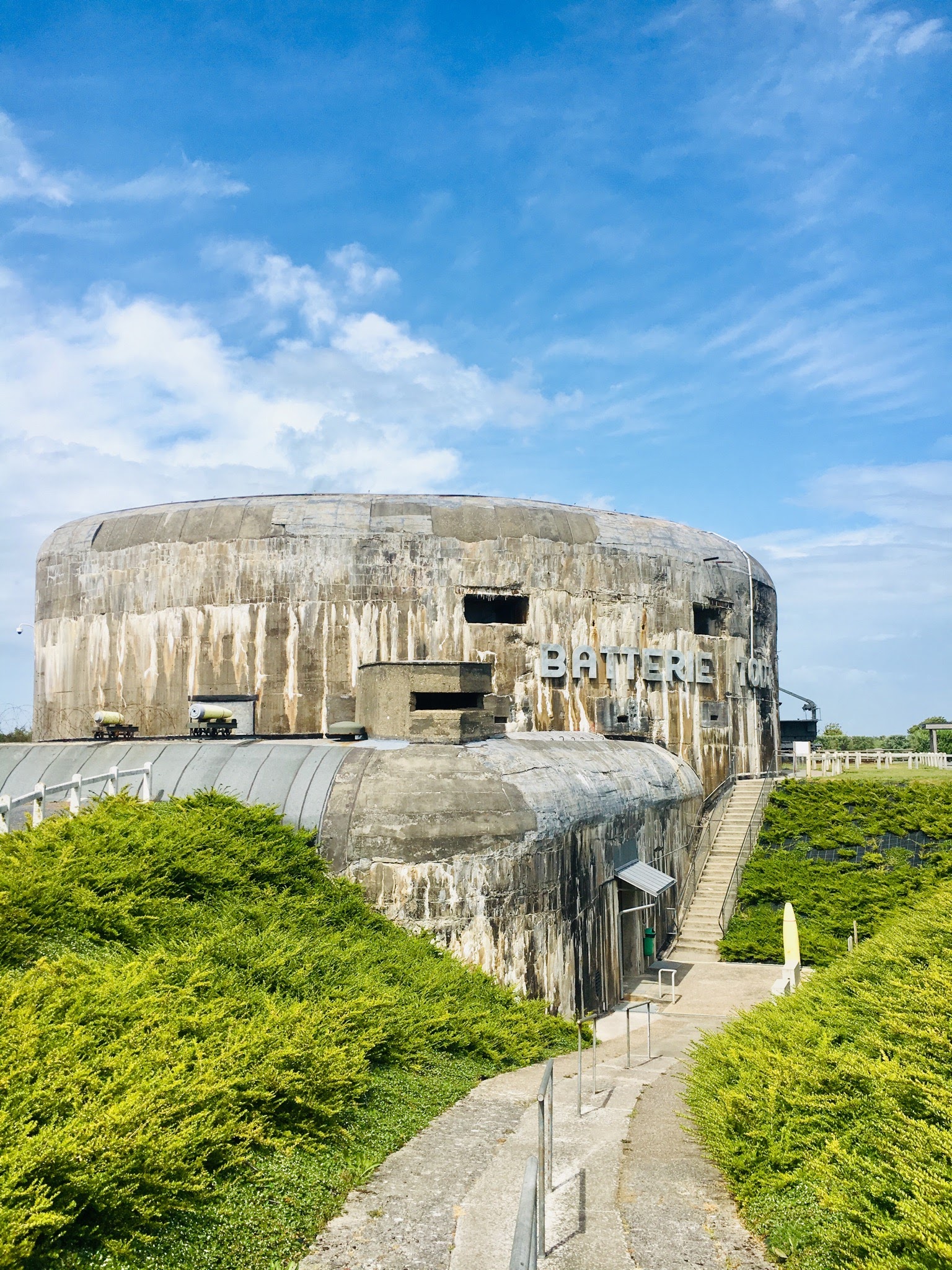 8a9562af-0caf-4152-9b09-8aa6aafd6129