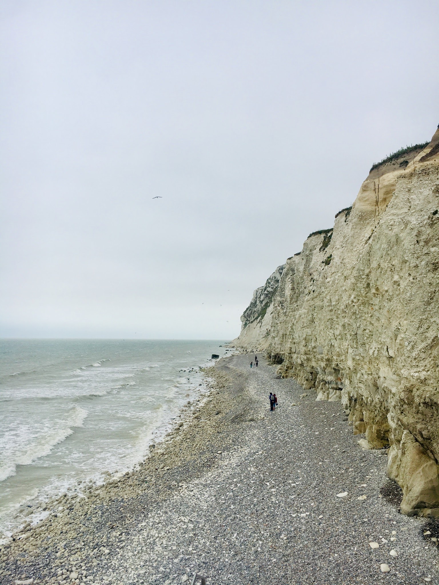 9f038095-859f-4ed8-b1c4-bdcb92d30cef