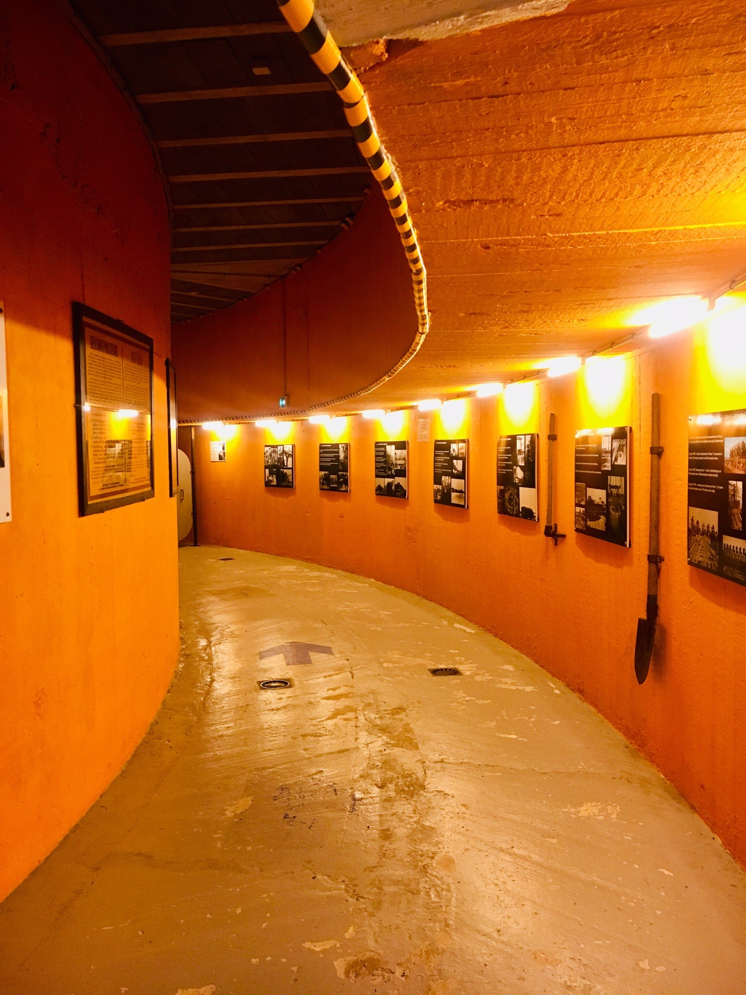 a06ee9be-fd80-47f9-a8ca-5da9d6d1e09a