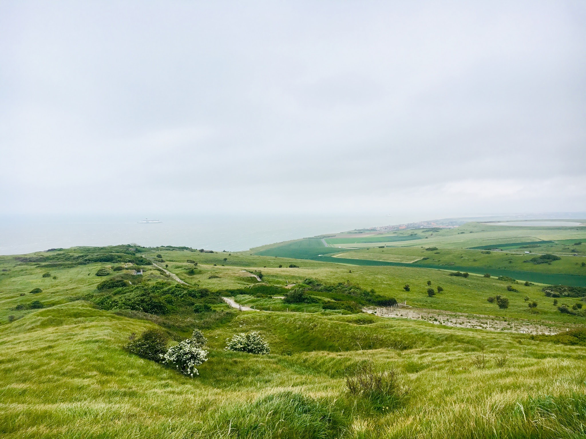 a4ec6c5e-66d9-47c8-aad3-9e0c755eb1e4