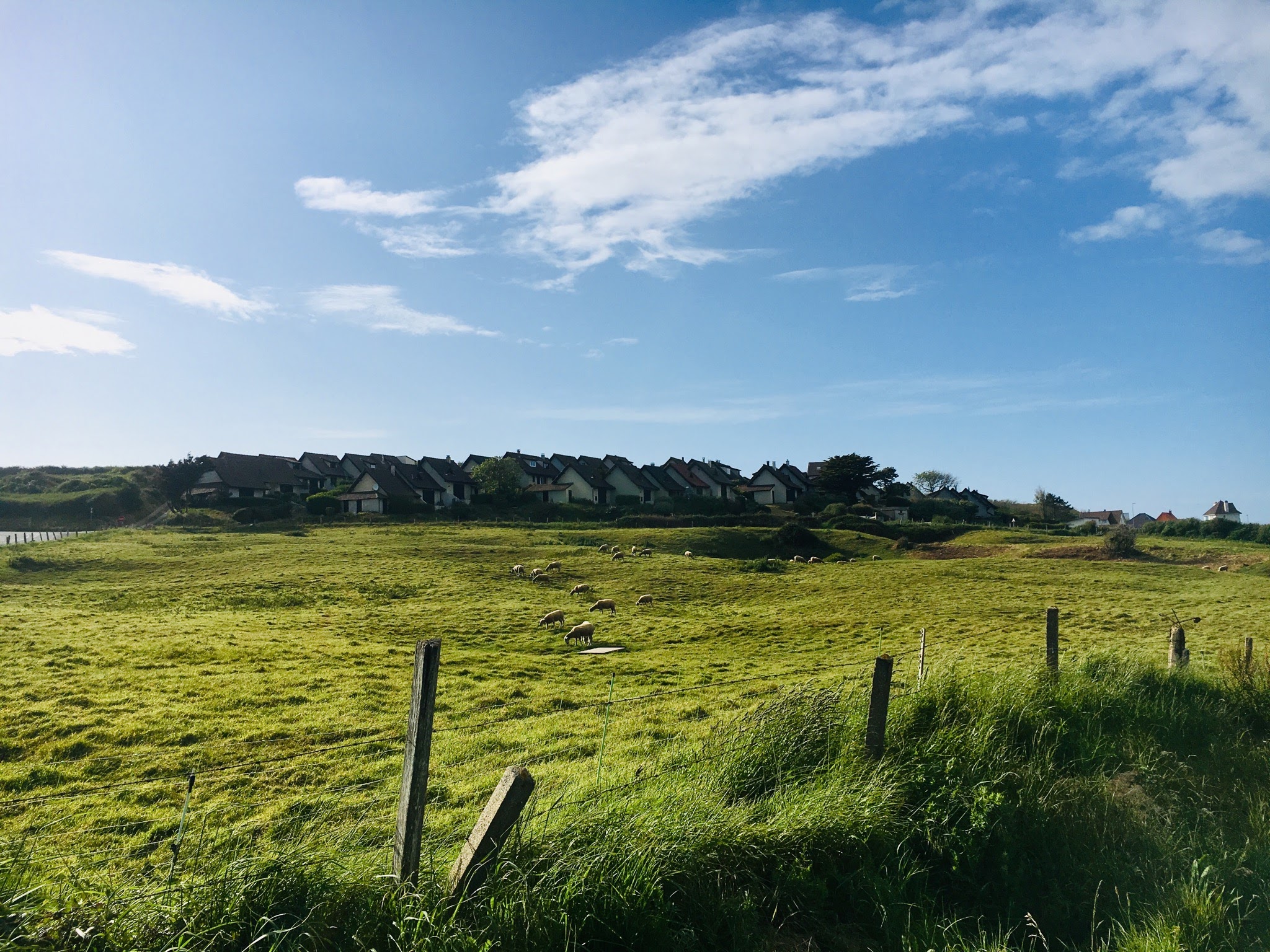 b09cd403-124c-4a7d-b64f-00d2b98bff52