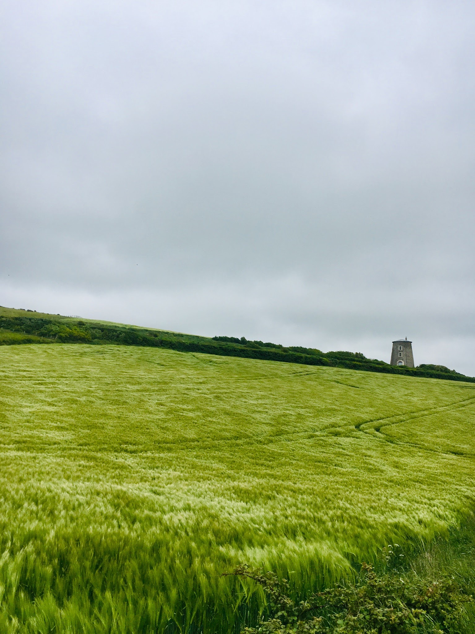 cd66e7c8-b06b-49c2-bc7c-cd54e26f8ed5