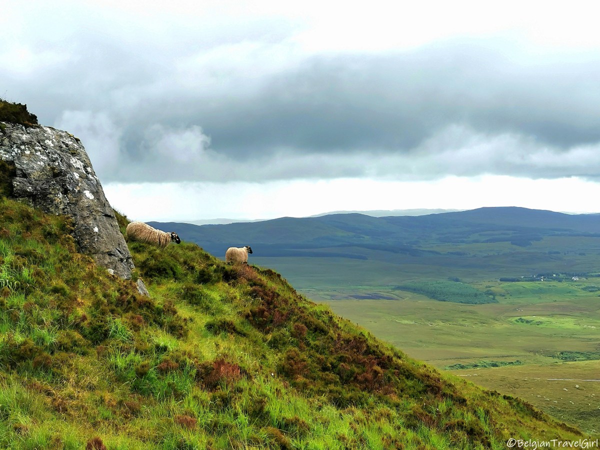 Là-bas, au CONNEMARA&nbsp;!