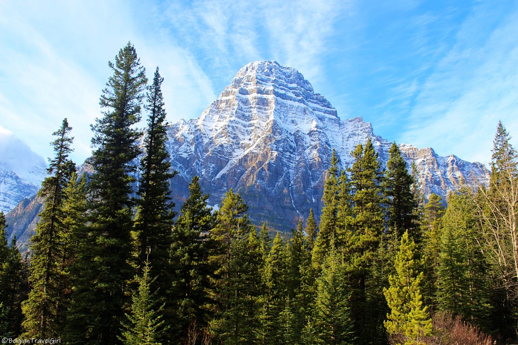 Road trip dans les Rocheuses : La PROMENADE DES&nbsp;GLACIERS