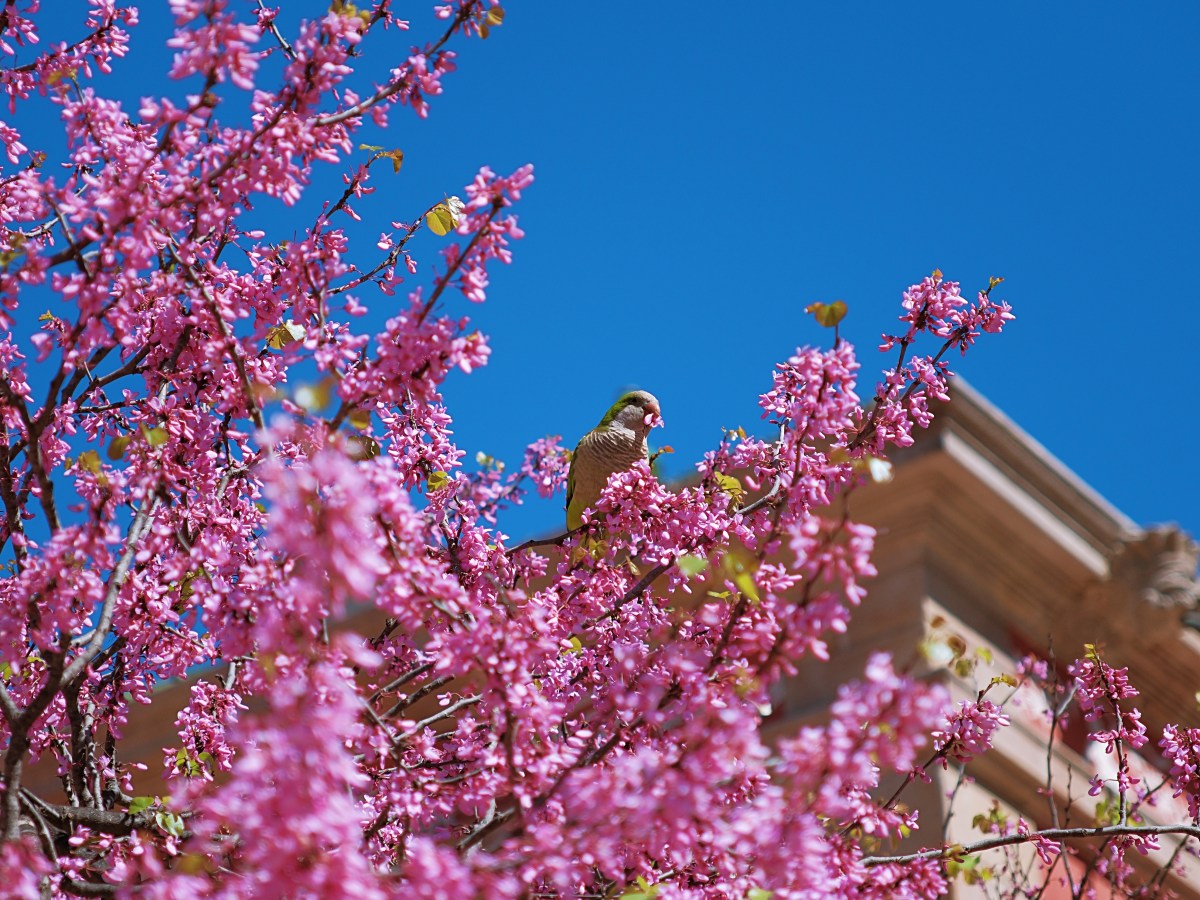 Un long week-end à&nbsp;BARCELONE