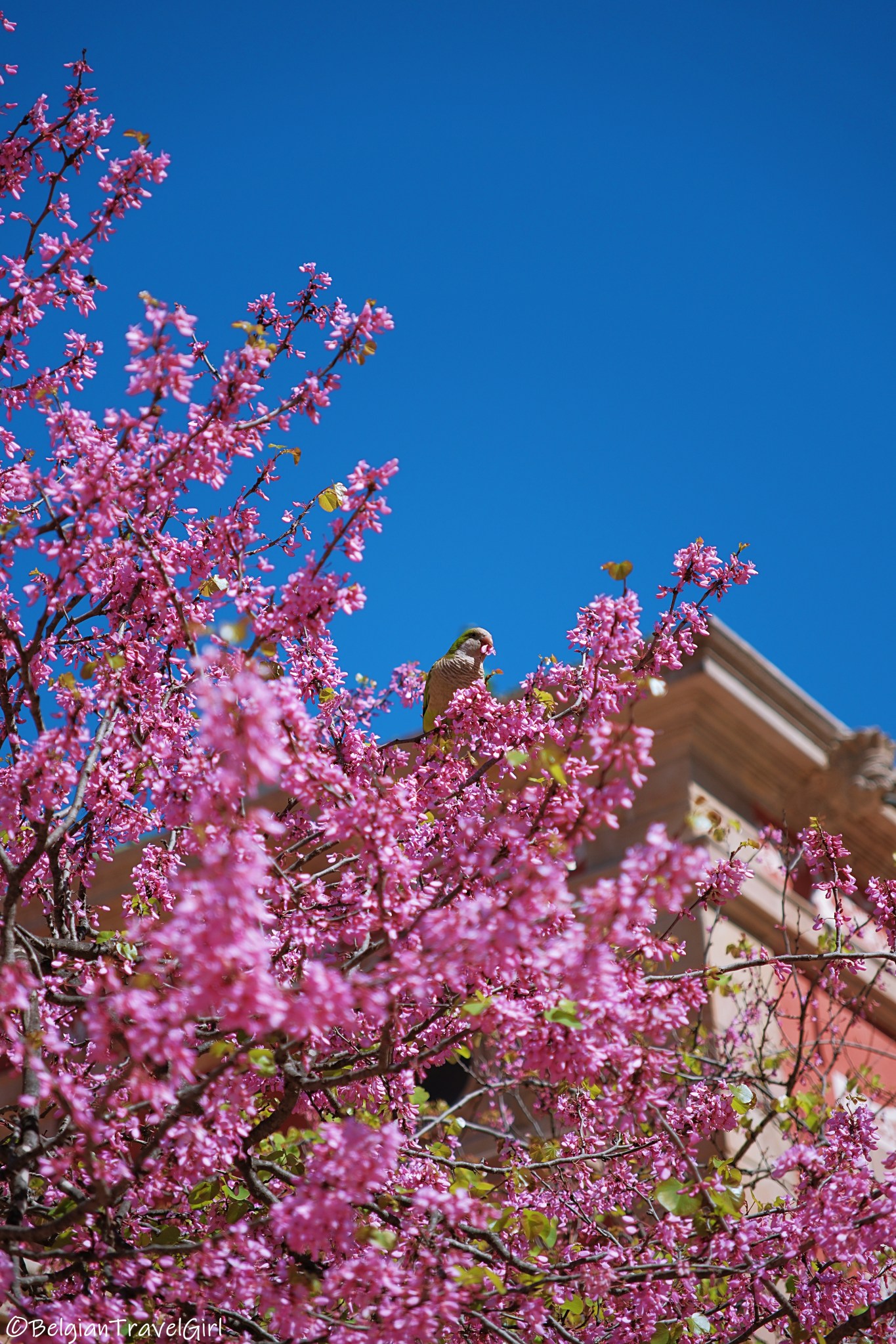 Un long week-end à&nbsp;BARCELONE